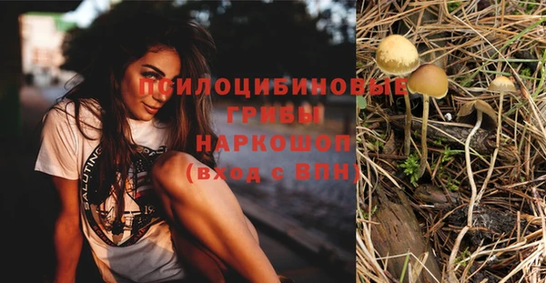 ешки Армянск