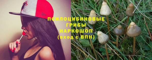 2c-b Аркадак